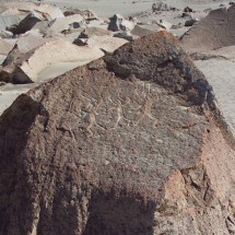 Petroglyphs of Toro Muerte III